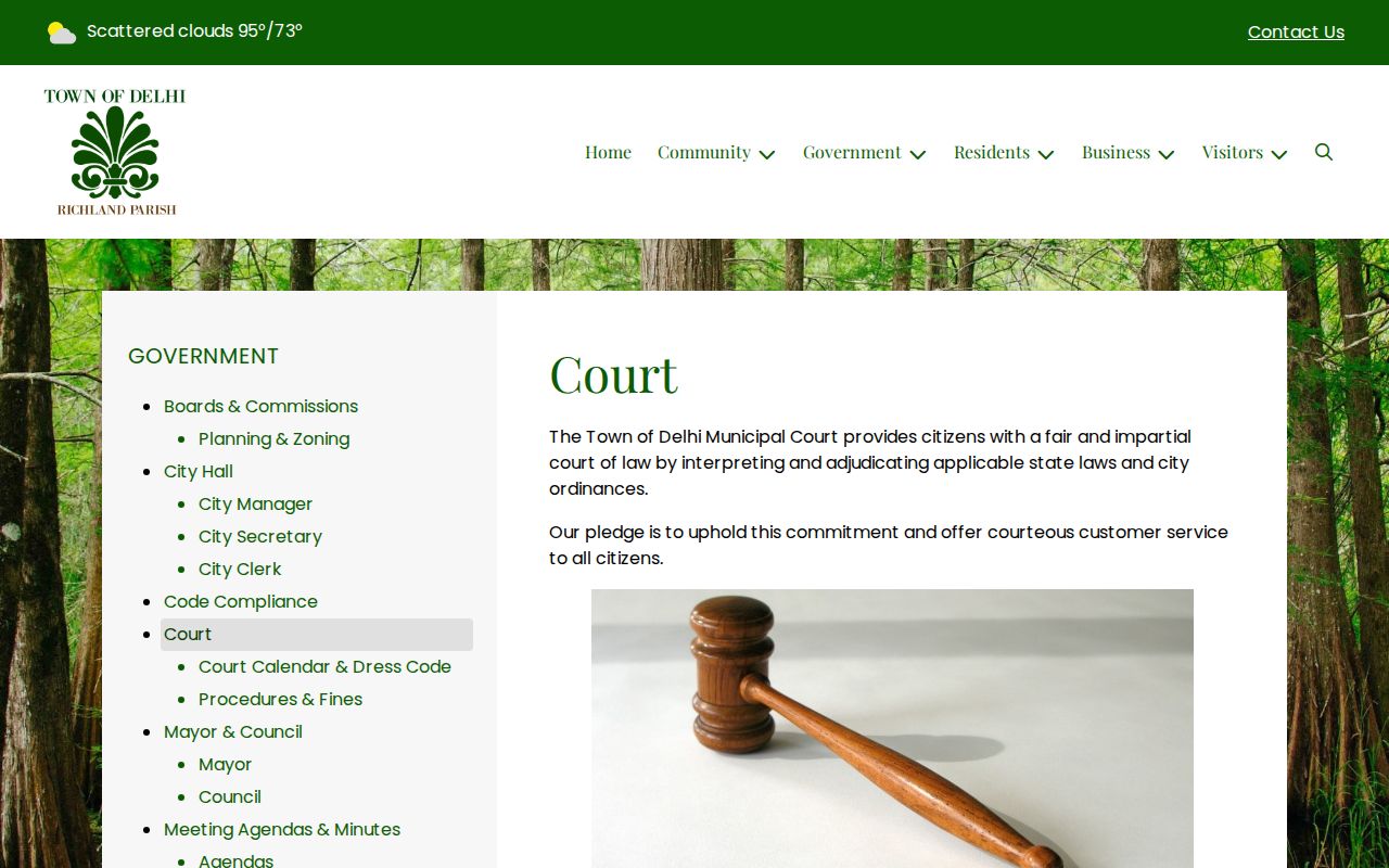 Delhi Municipal Court page describing the court role behind Delhi warrant records