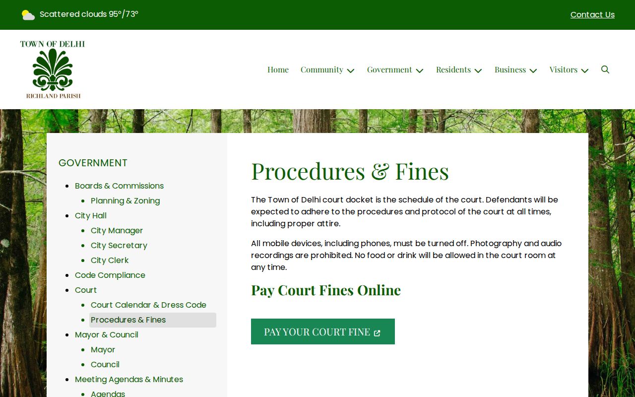 Delhi procedures and fines page listing courtroom rules tied to Delhi warrant records